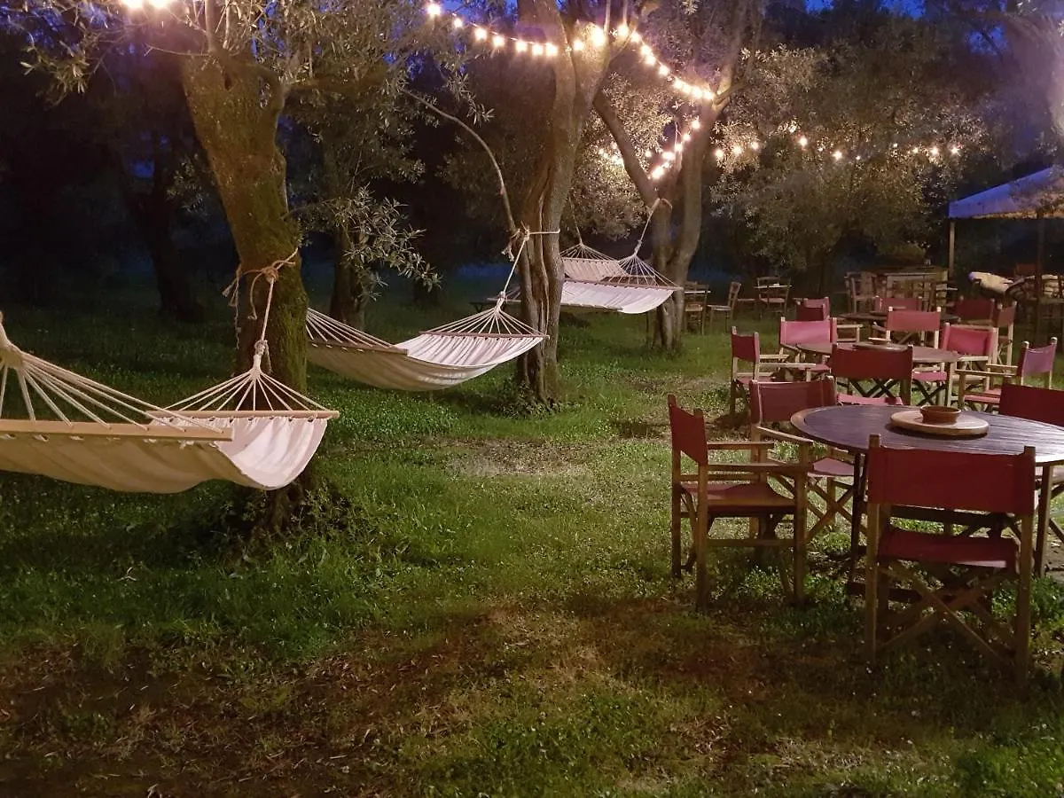 Antico Uliveto Guest House Seravezza
