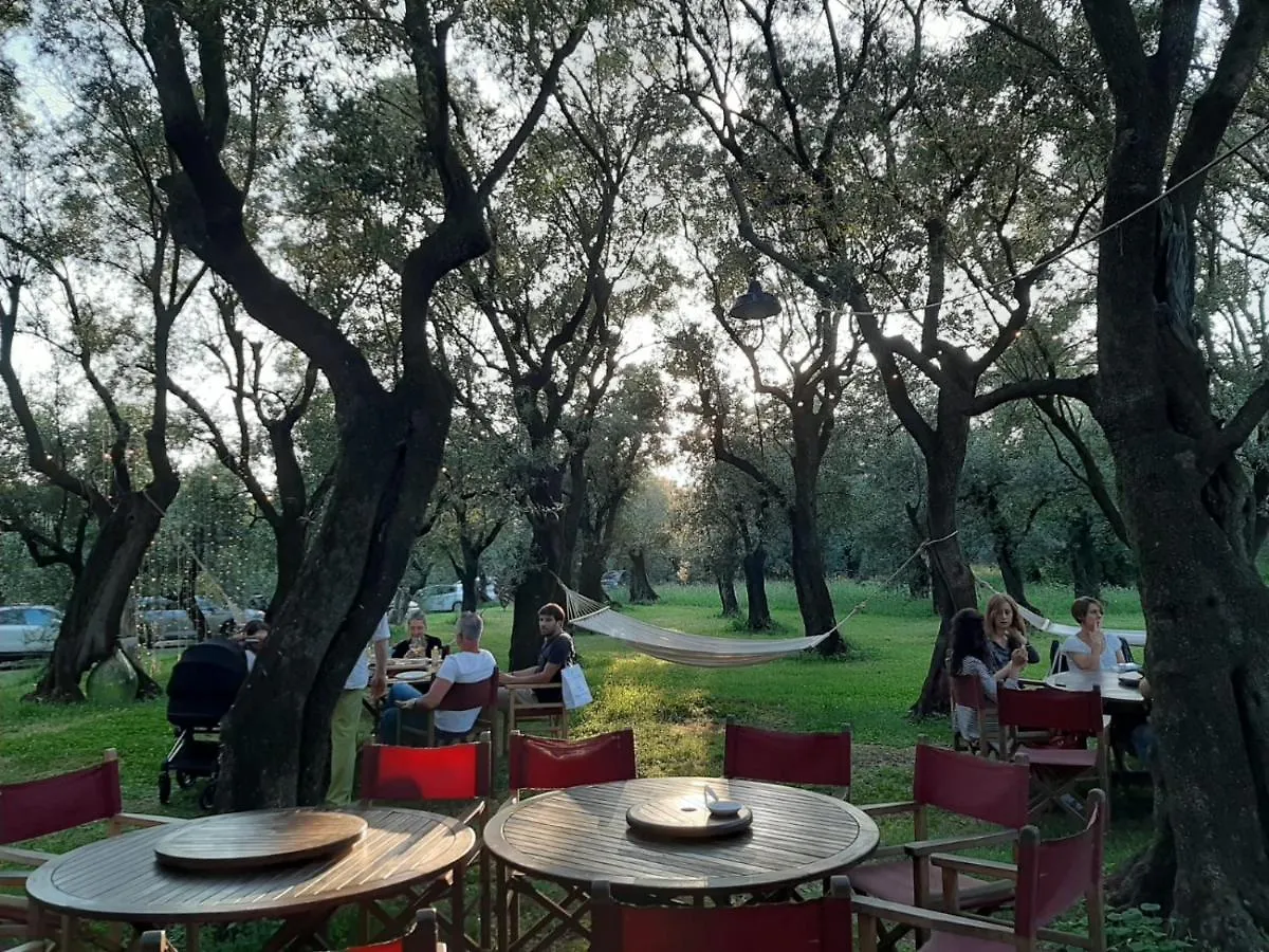 Country house Antico Uliveto Guest House Seravezza