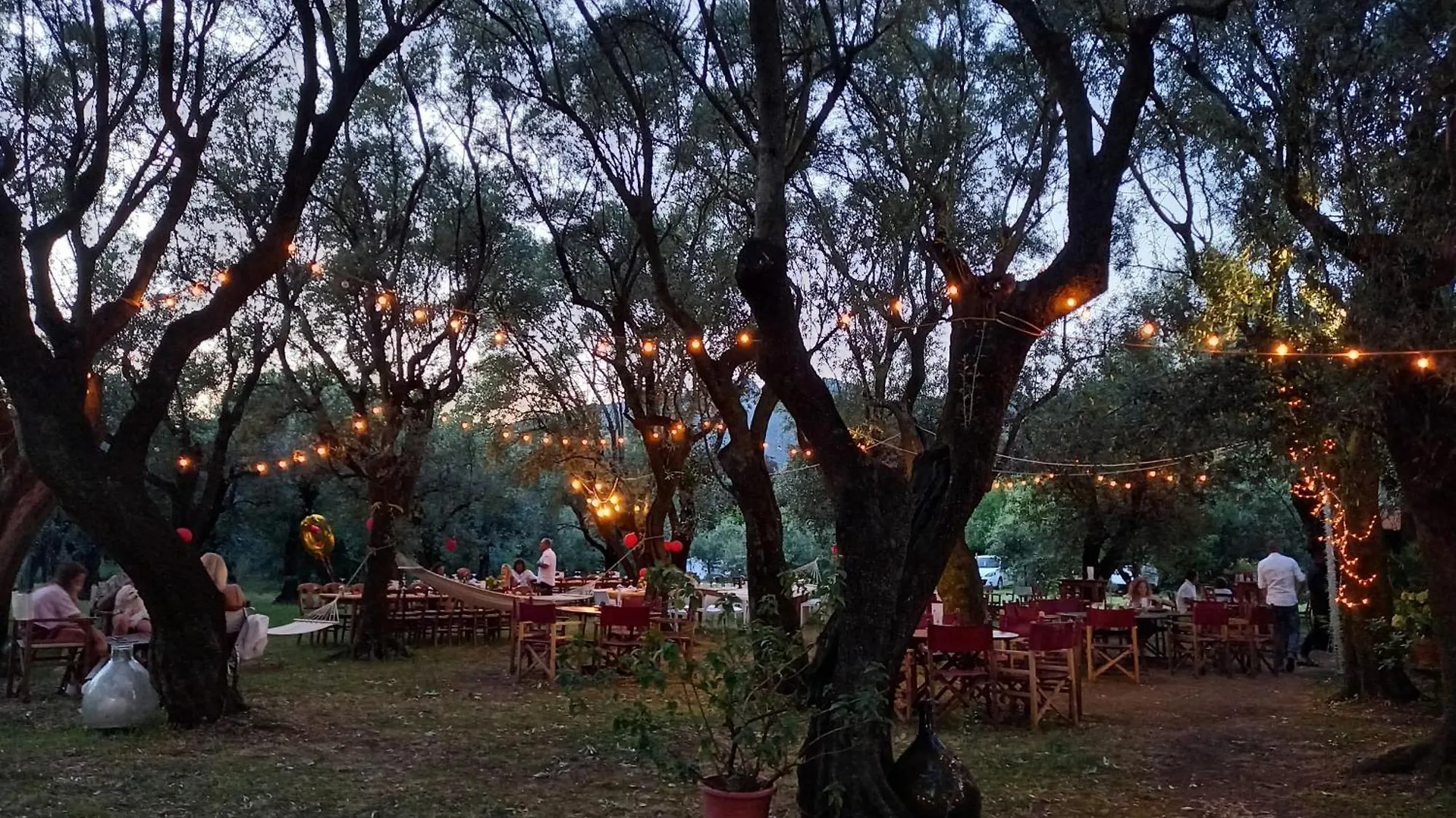 Country house Antico Uliveto Guest House Seravezza
