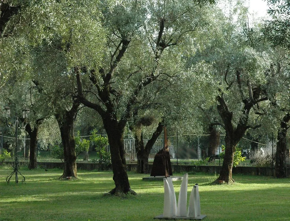 Antico Uliveto Guest House Seravezza 0*,