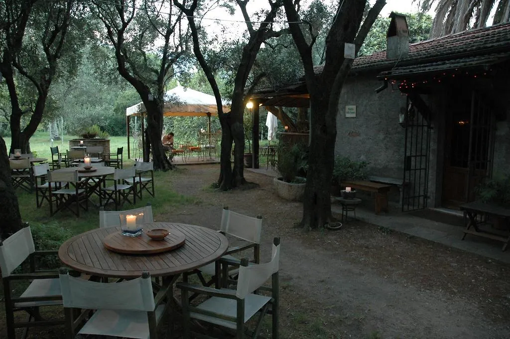 Country house Antico Uliveto Guest House Seravezza