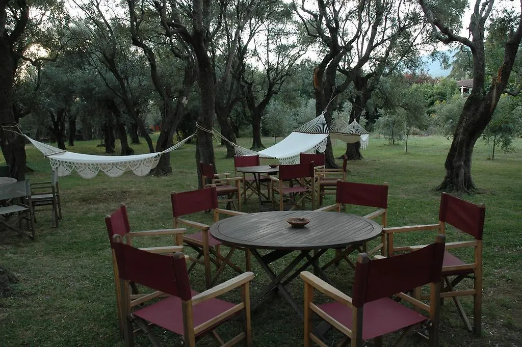 Country house Antico Uliveto Guest House Seravezza Italy