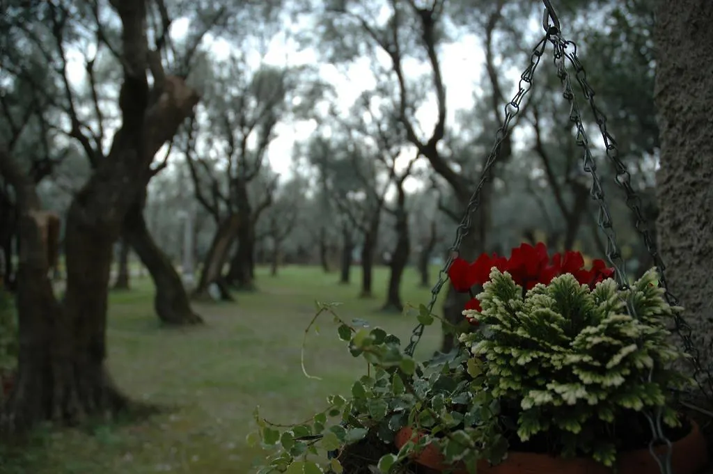 Antico Uliveto Guest House Seravezza