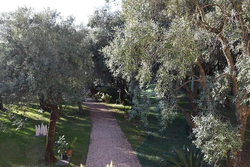 Antico Uliveto Guest House Seravezza Italy