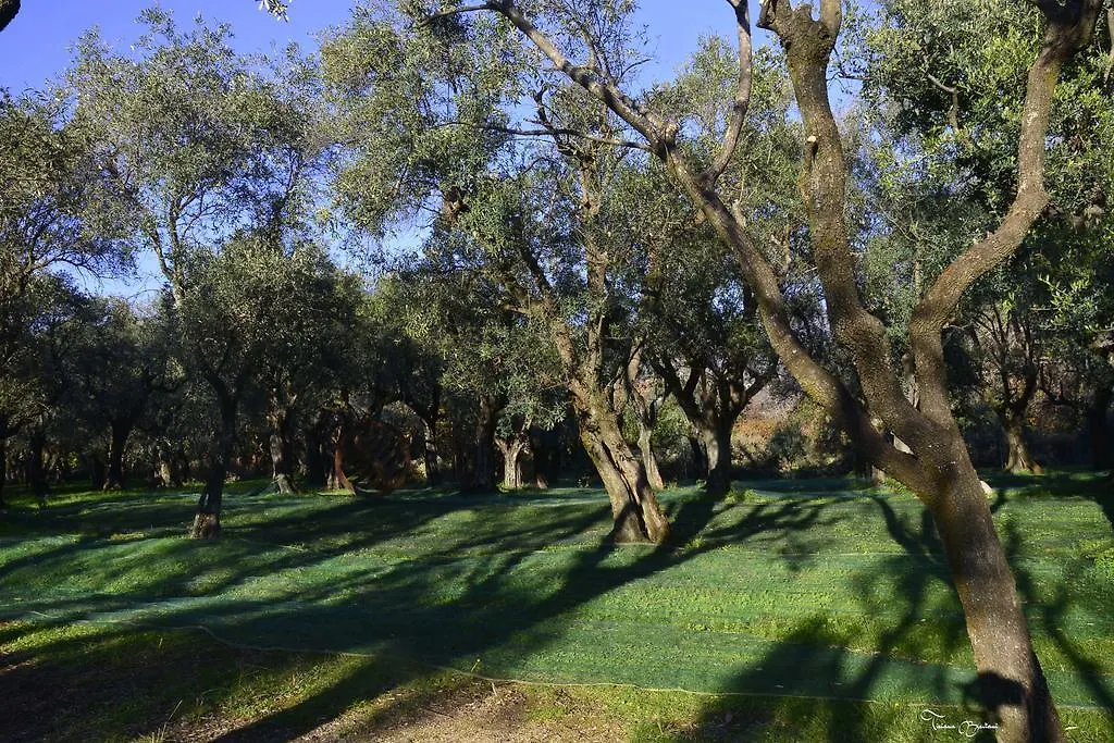 Antico Uliveto Guest House Seravezza