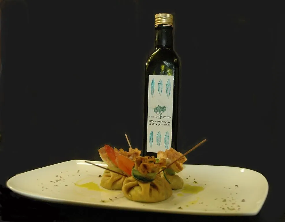Antico Uliveto Guest House Seravezza 0*,  Italy