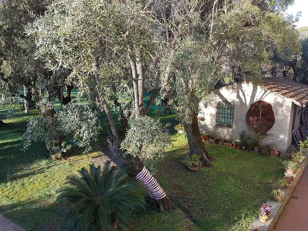 Antico Uliveto Guest House Seravezza Country house