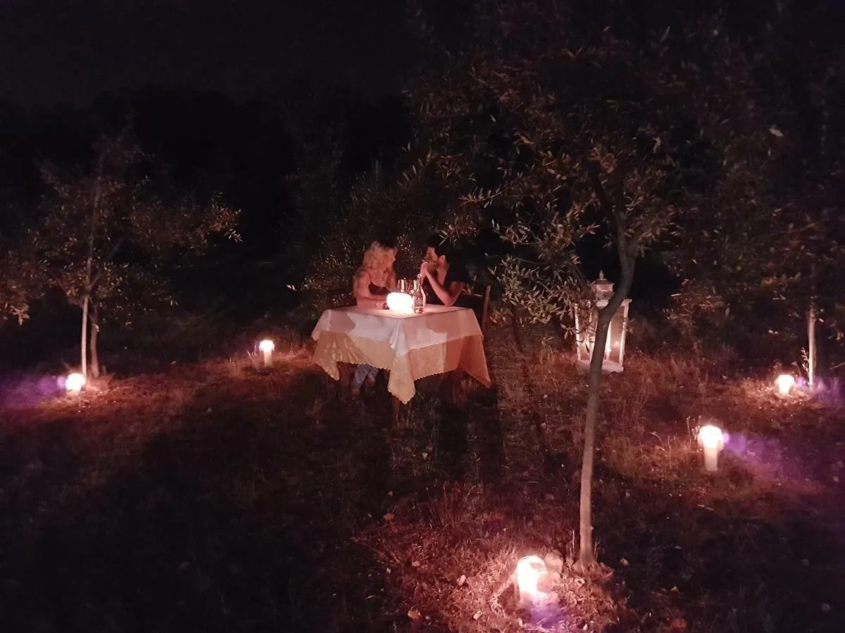 Antico Uliveto Guest House Seravezza 0*,  Italy