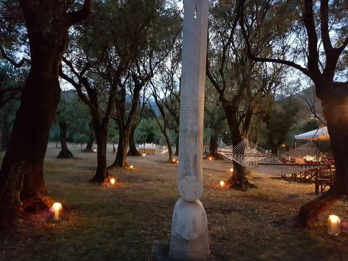 Antico Uliveto Guest House Seravezza Country house