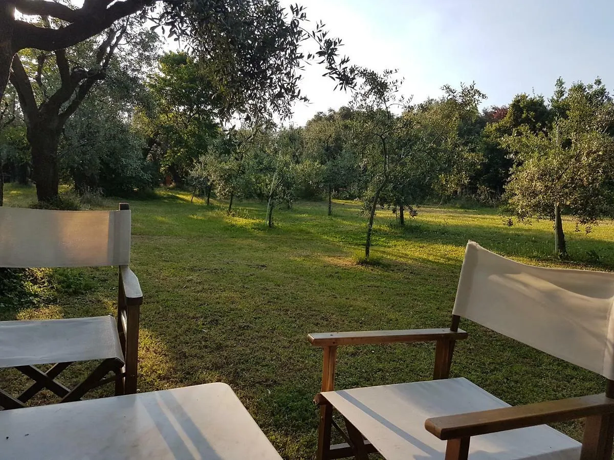 Country house Antico Uliveto Guest House Seravezza Italy