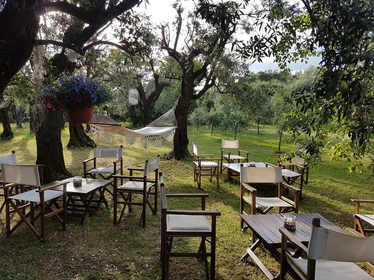 Antico Uliveto Guest House Seravezza