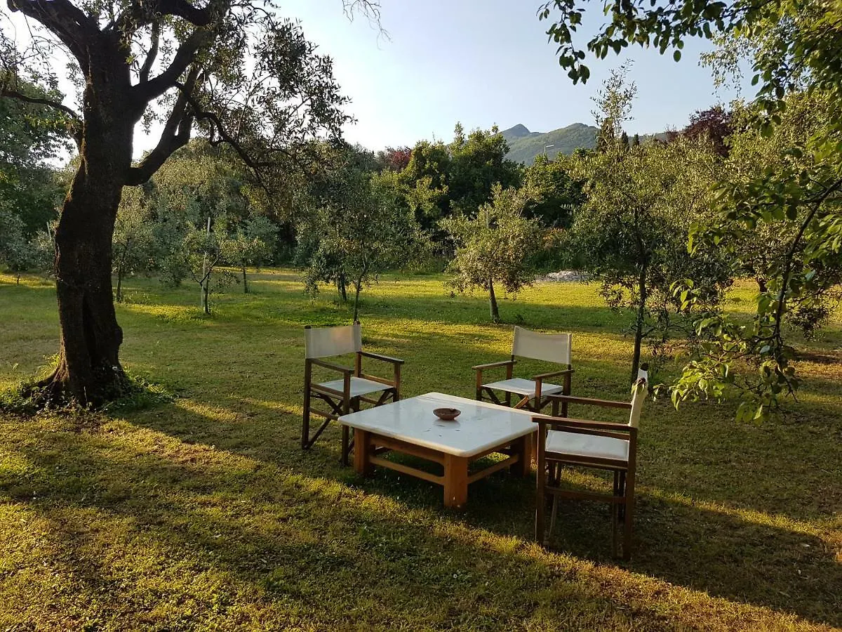 Country house Antico Uliveto Guest House Seravezza