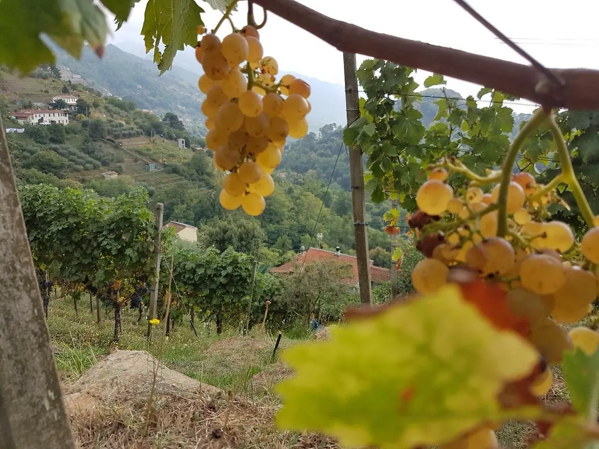 Antico Uliveto Guest House Seravezza